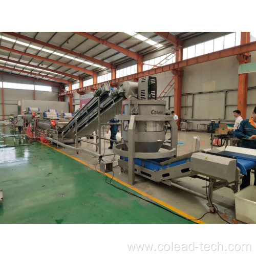 High Speed Centrifugal Vegetable Powder Drying
